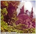 Vinay Menon_ India&nbsp;(85)