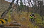 vinaymenonphotography_mountainbiking-195