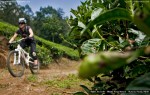 smellthechai_munnar_mountainbikekerala (18)