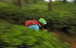 smellthechai_munnar_mountainbikekerala (2)